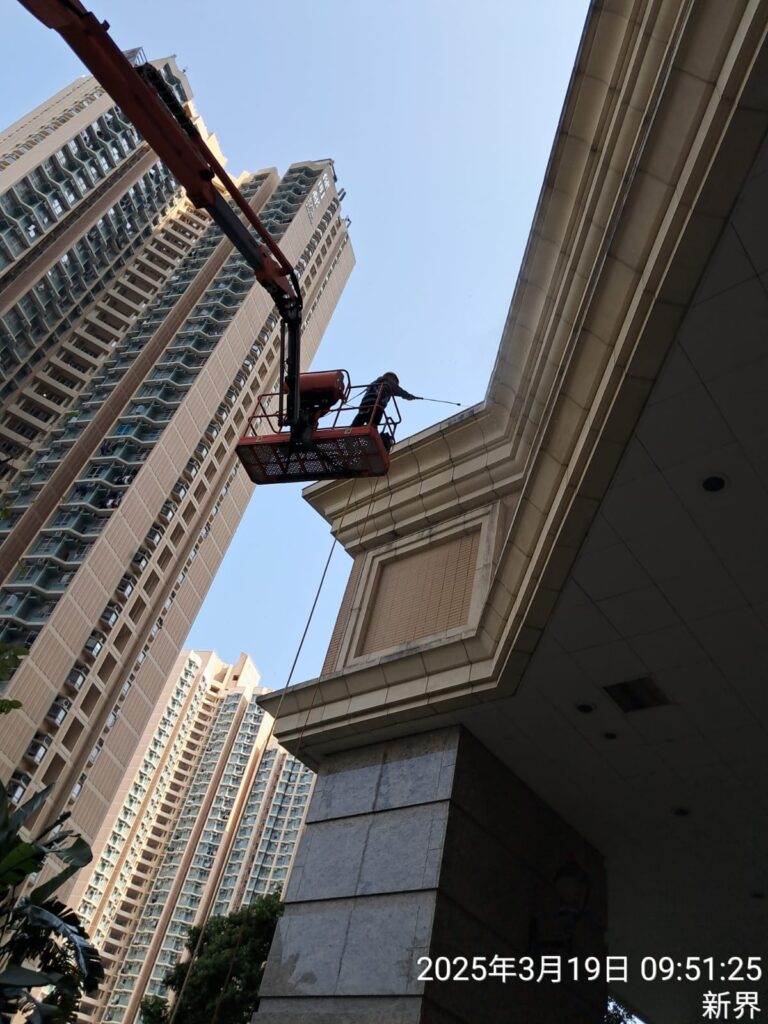 whatsapp image 2025 03 19 at 5.07.55 pm (1)