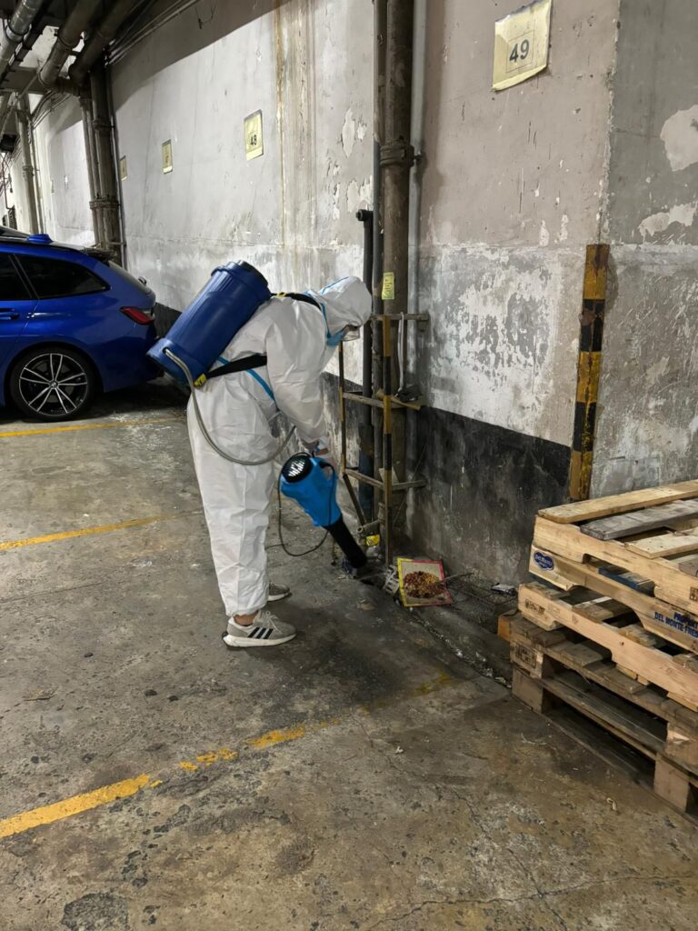 whatsapp 圖片2025 06 2413.53.23 f422ed66